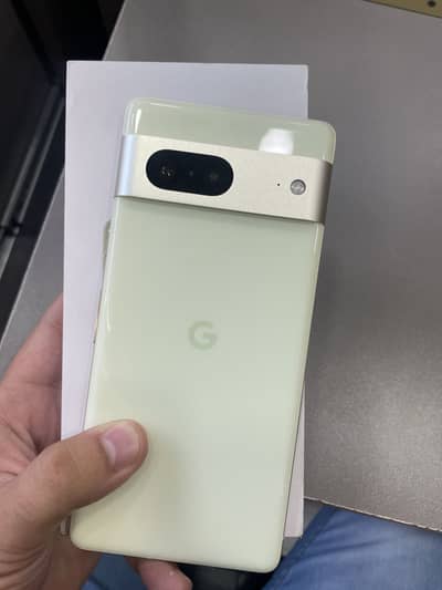 Google Pixel 7 official pta