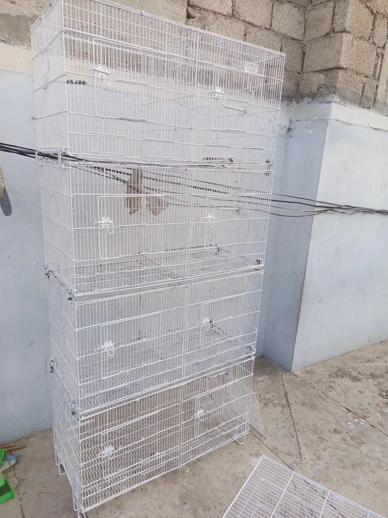 Cages For Sale — photo 5