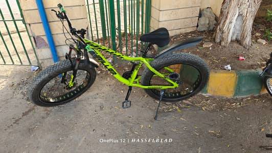 Thriller fat bike