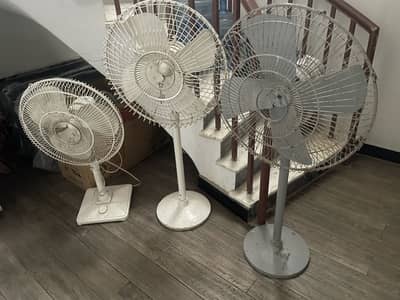 Pedestal Fans