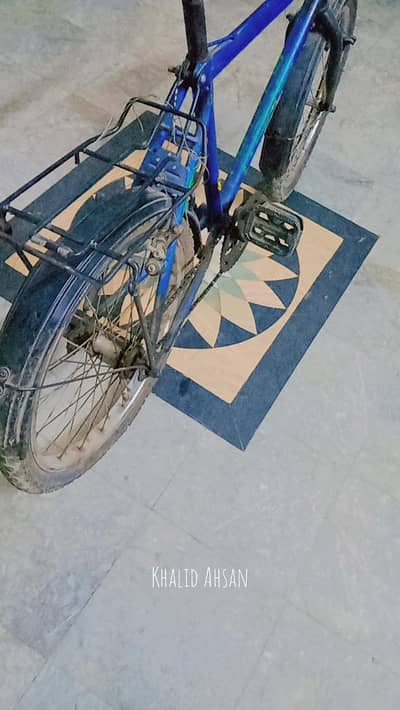 Phoenix cycle for sale