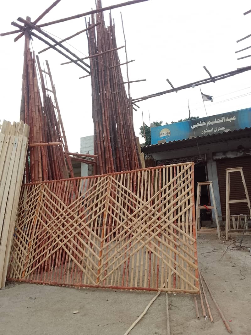 bamboo 0