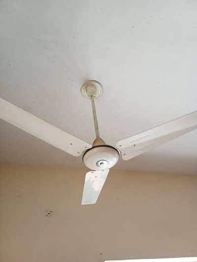 Ceiling fans available for sale 03164889596
