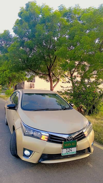 urgent sale 0*3*2*6*4*9*6*4*4*6*2. gift for Corolla lovers