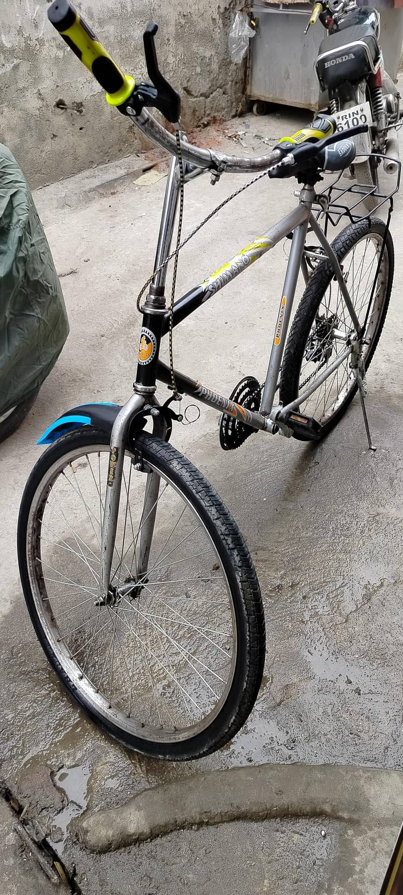 phoenix Bicycle 1