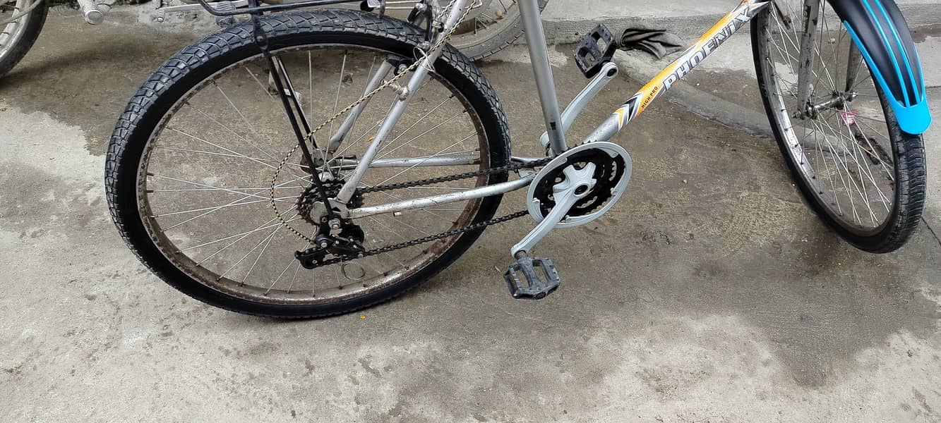 phoenix Bicycle 2