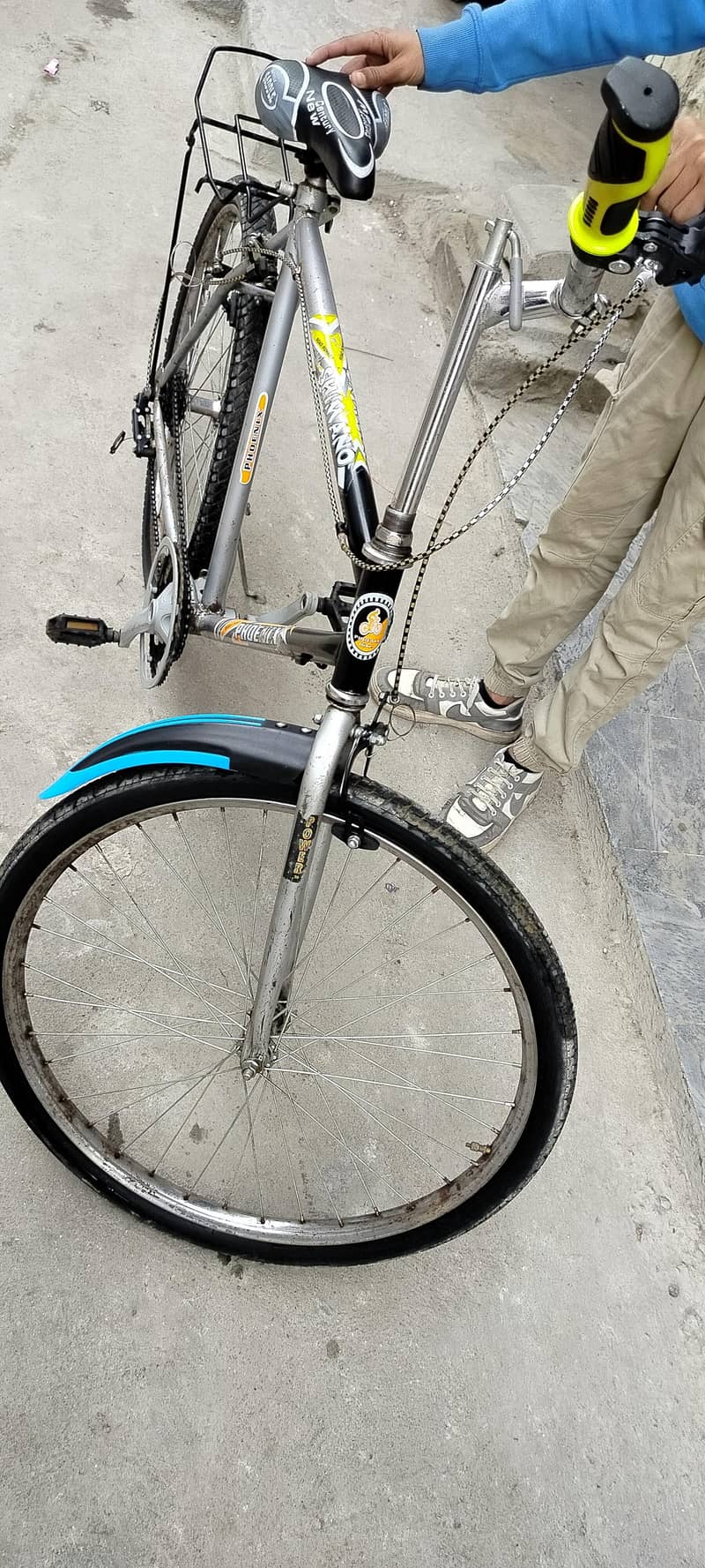 phoenix Bicycle 3