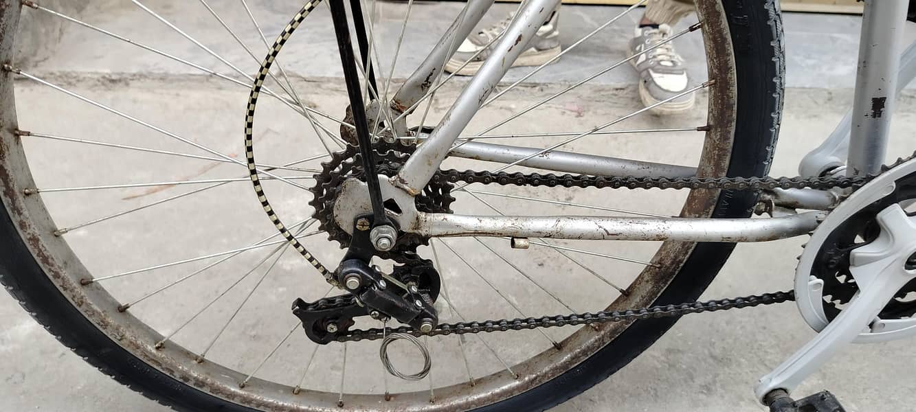 phoenix Bicycle 4