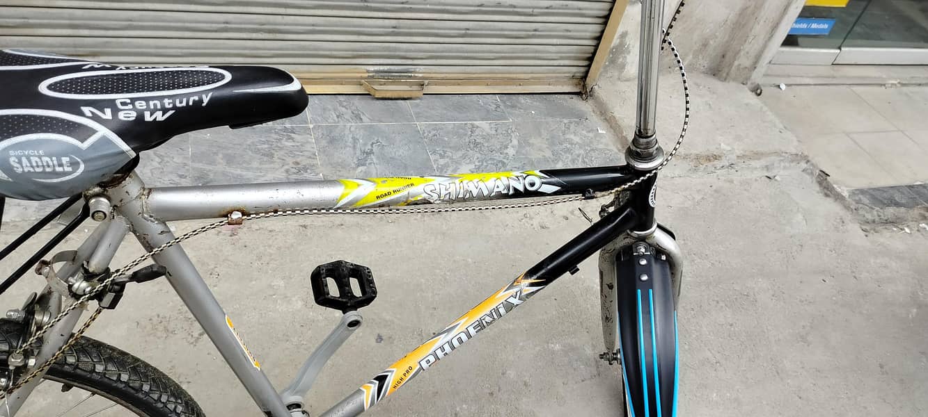 phoenix Bicycle 5