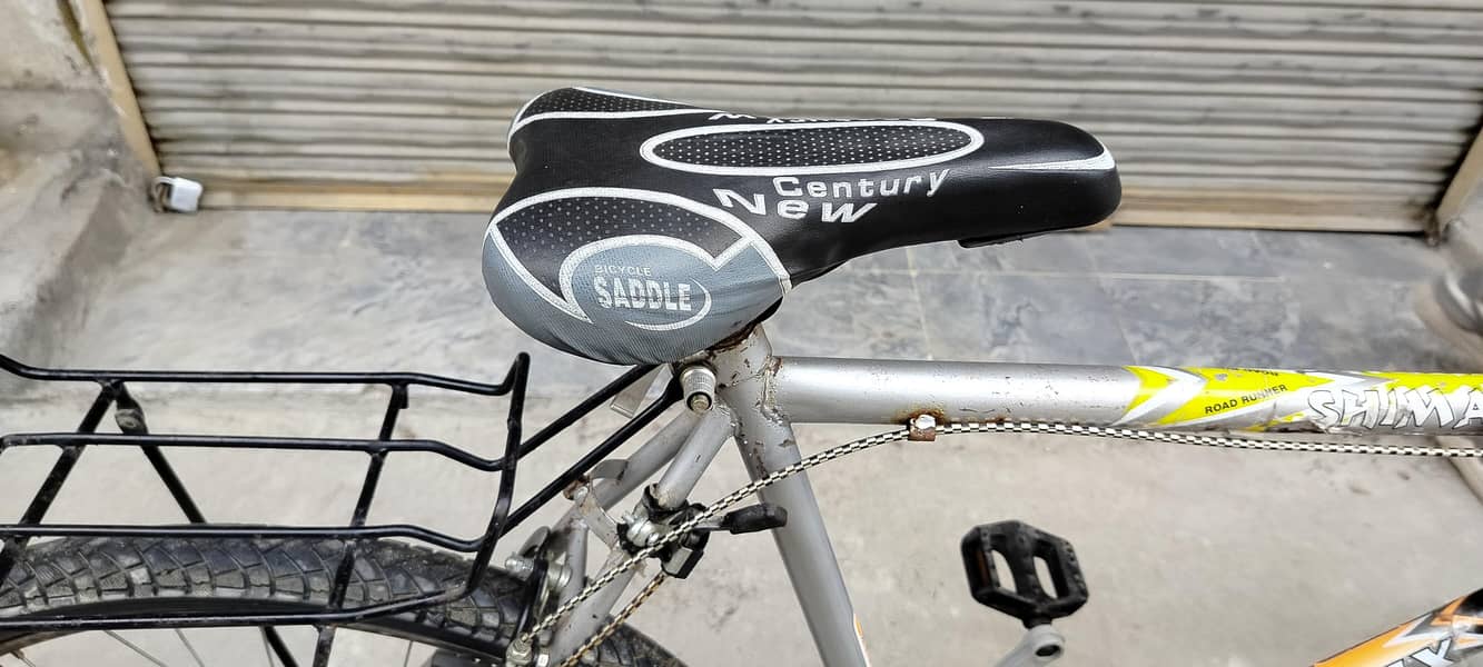 phoenix Bicycle 6