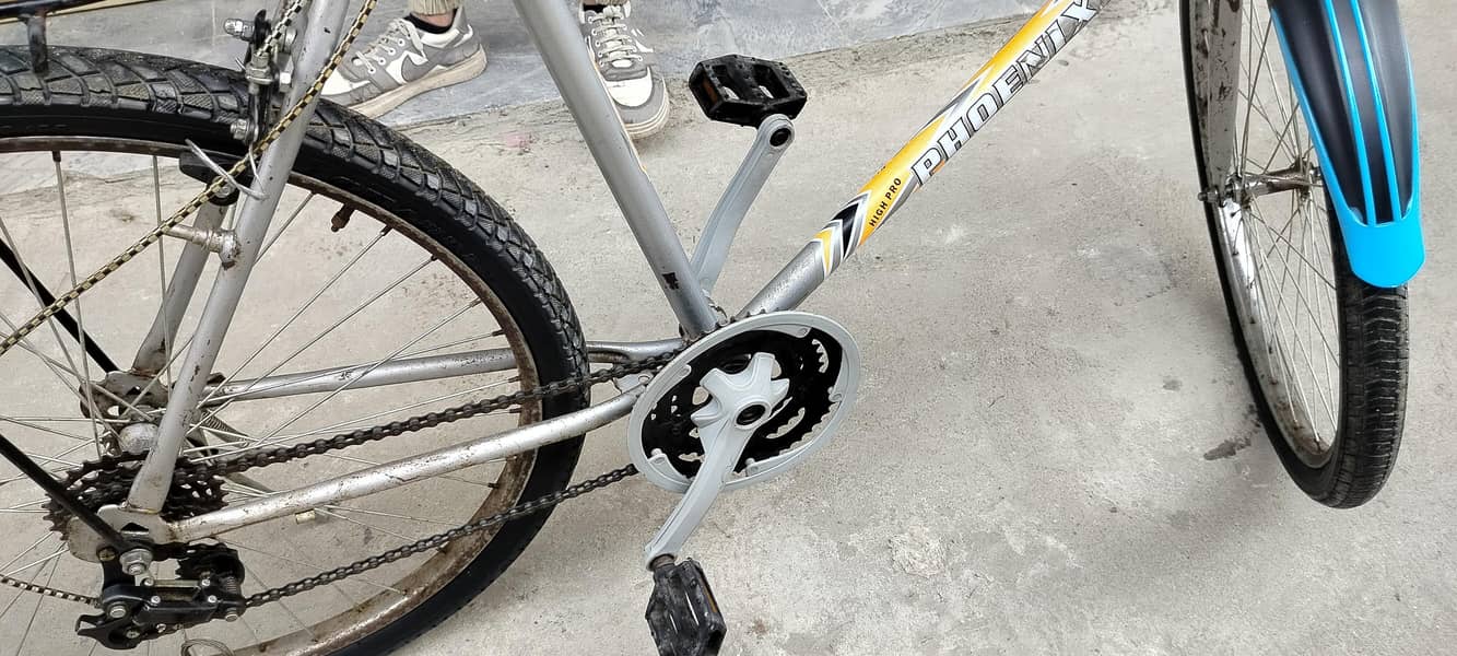 phoenix Bicycle 7