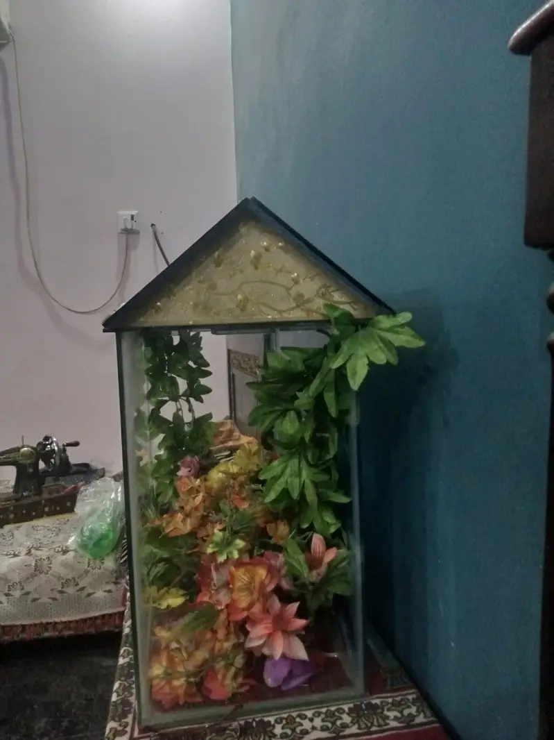 fish tank — photo 2