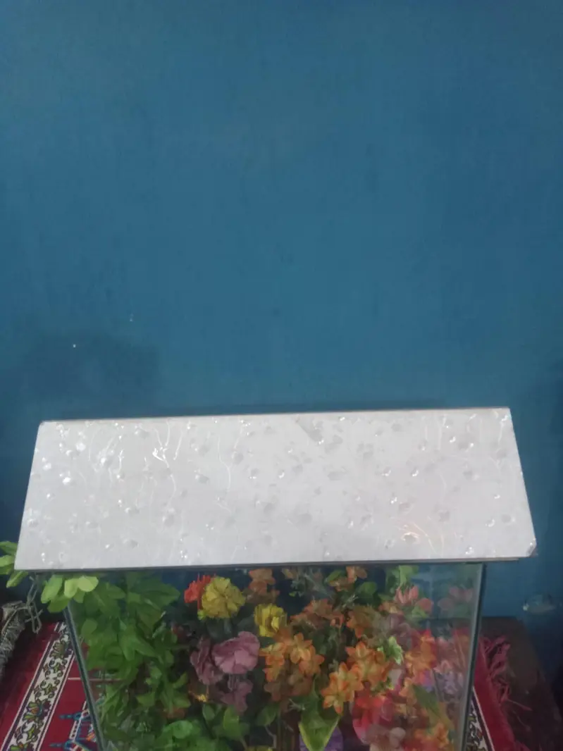 fish tank — photo 3