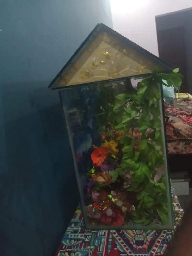 fish tank — photo 4
