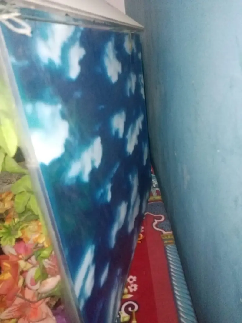 fish tank — photo 6
