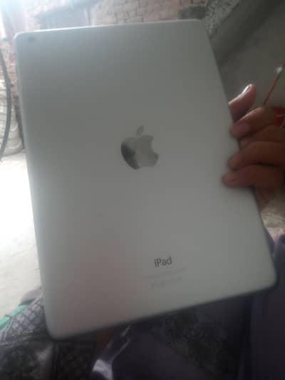 white couler