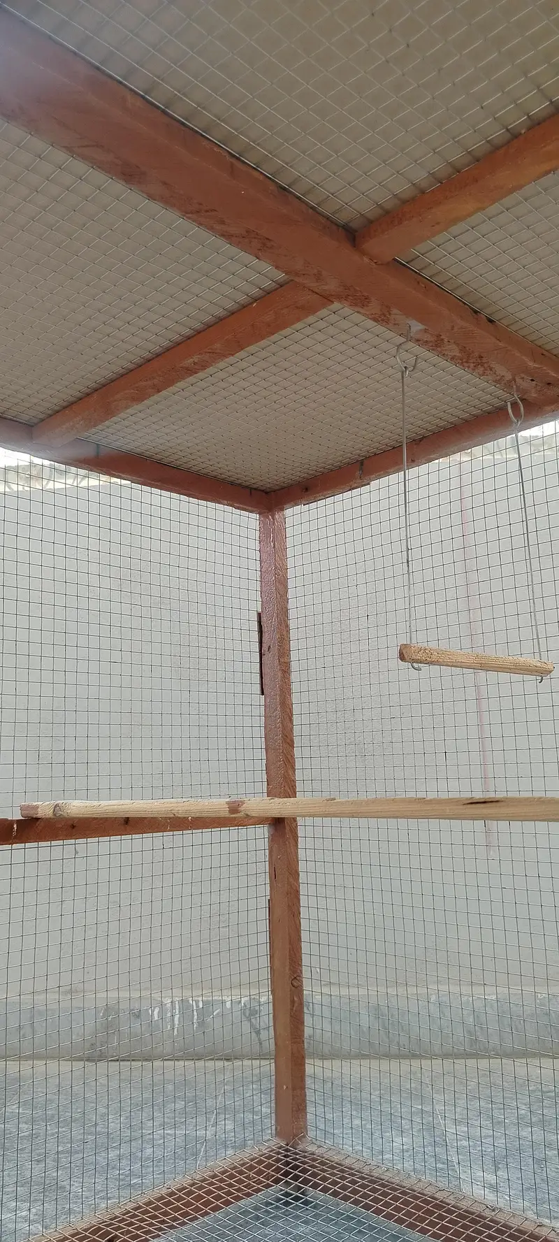 Wooden Bird Cage — photo 6