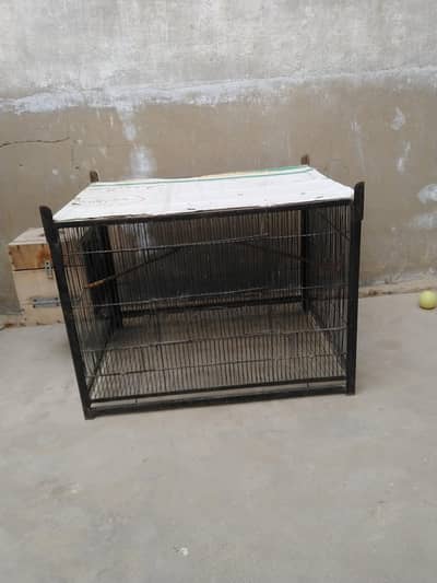 1 portion Cage