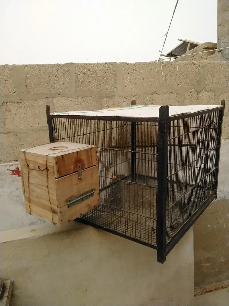 1 portion Cage — photo 2