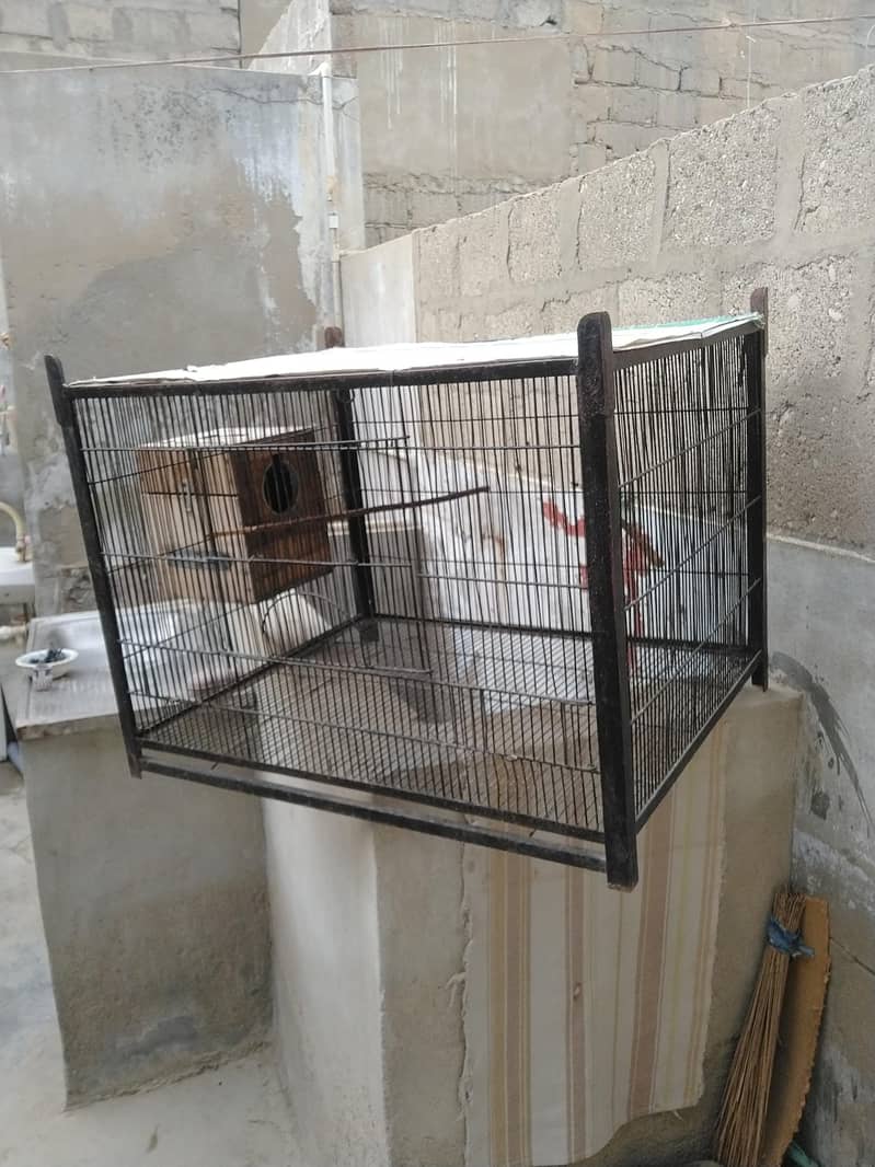 1 portion Cage 2