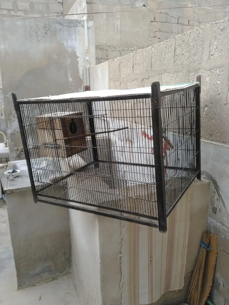 1 portion Cage — photo 3