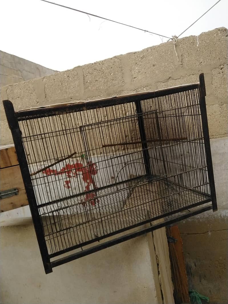 1 portion Cage 3