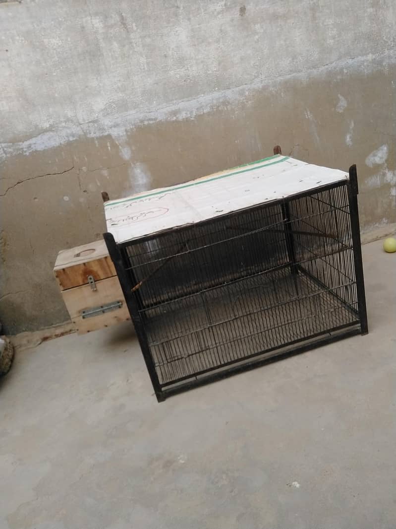 1 portion Cage 4