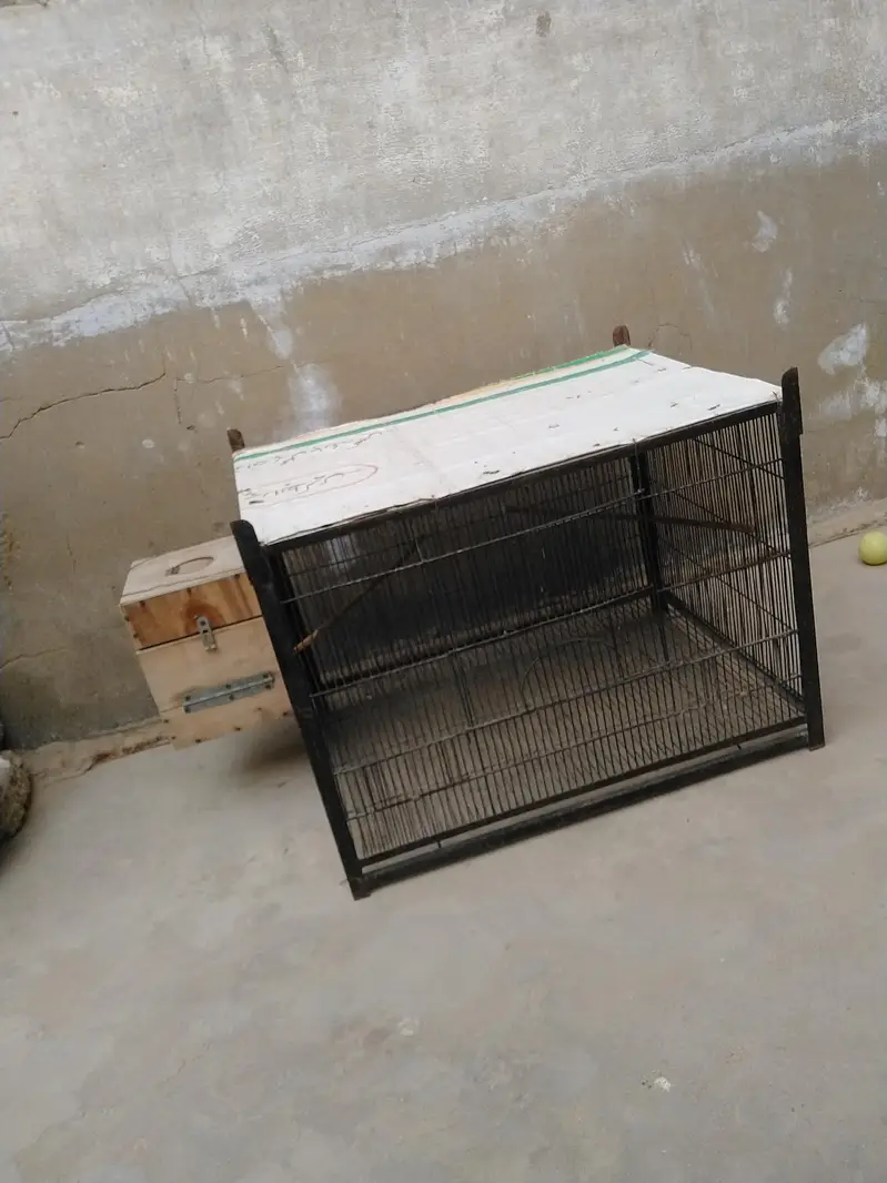 1 portion Cage — photo 5