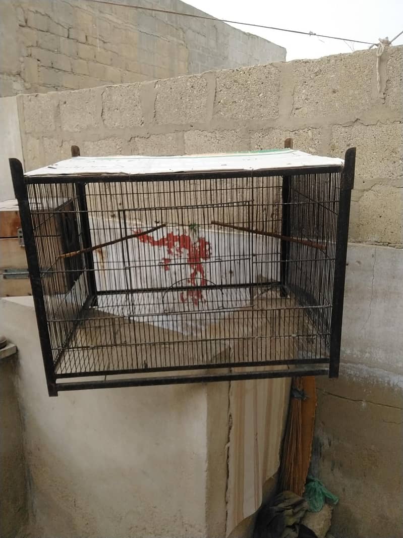 1 portion Cage 5