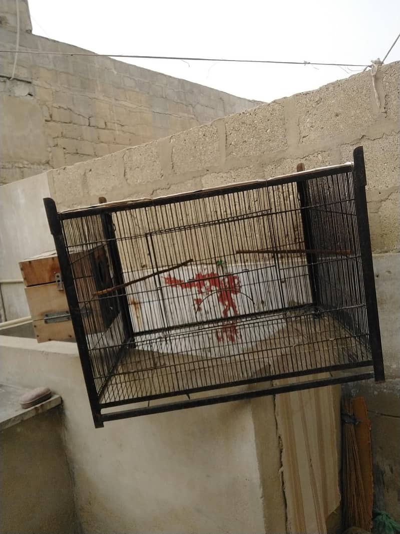 1 portion Cage 7