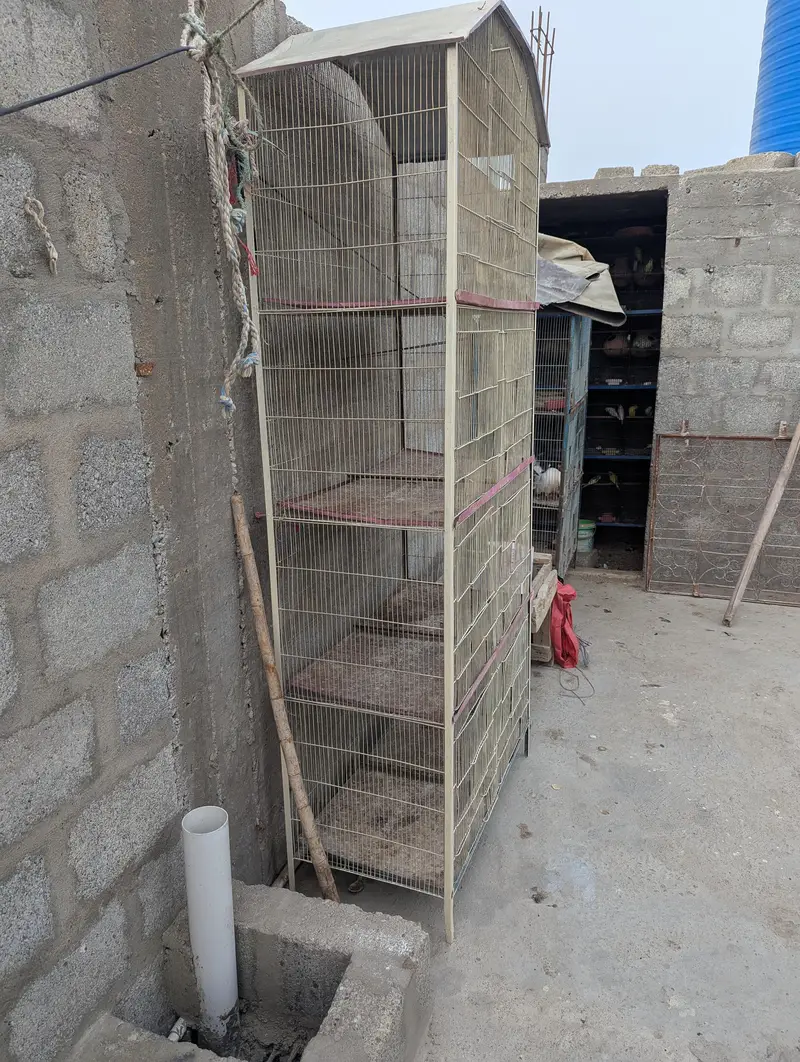 cage for sale — photo 2