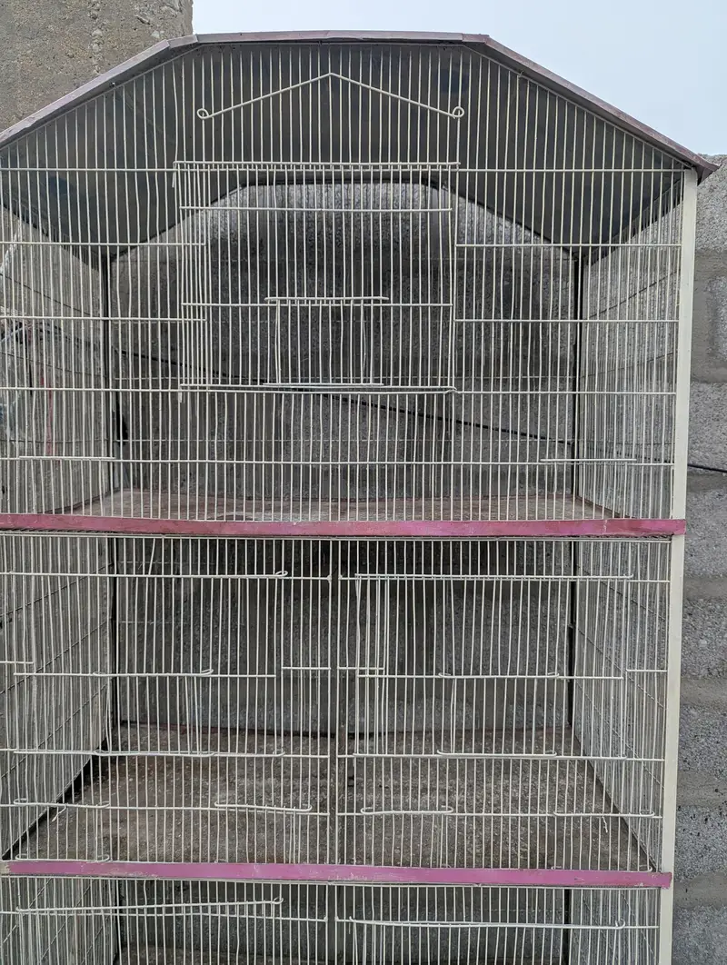 cage for sale — photo 5