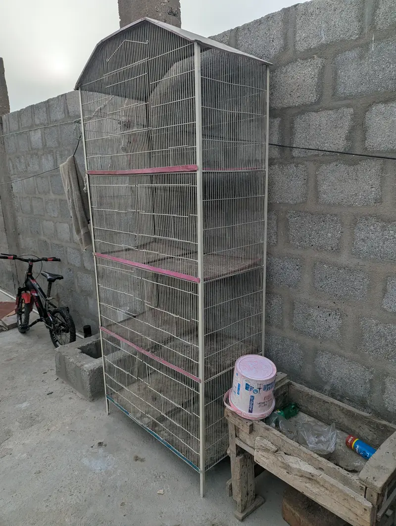 cage for sale — photo 6
