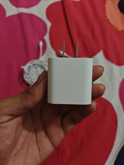 Apple charger 20watt Adapter cable and handfree light