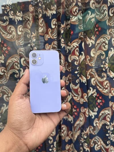 iPhone 12 Mini Water pack