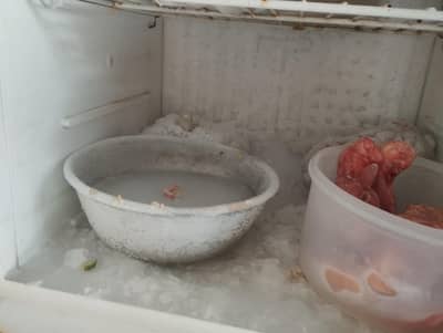 used dawlance fridge medium