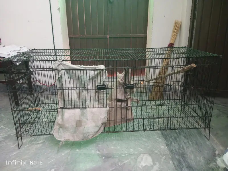 Parrot cage — photo 2