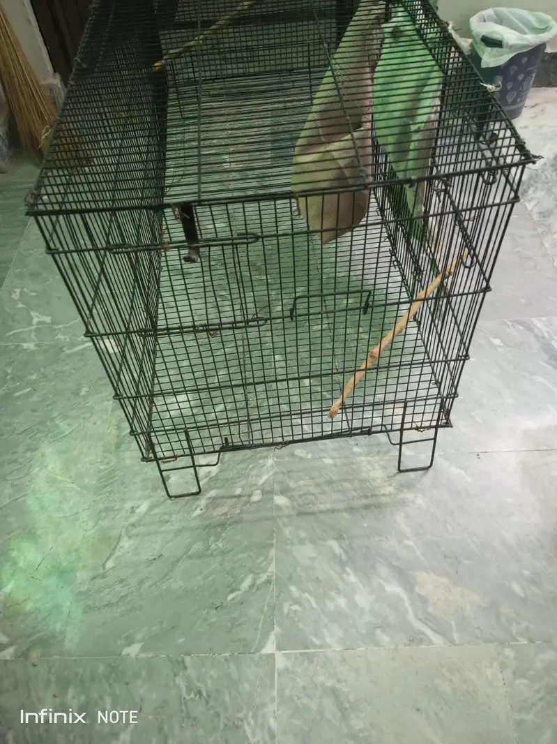 Parrot cage — photo 3