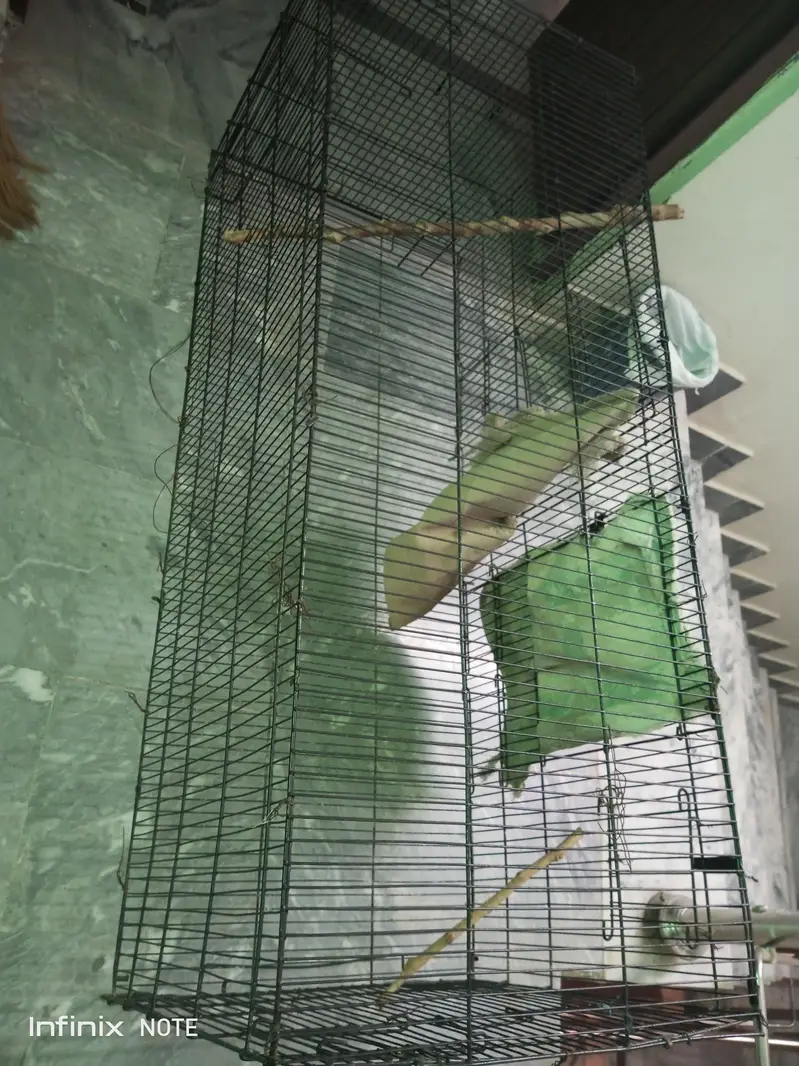 Parrot cage — photo 4