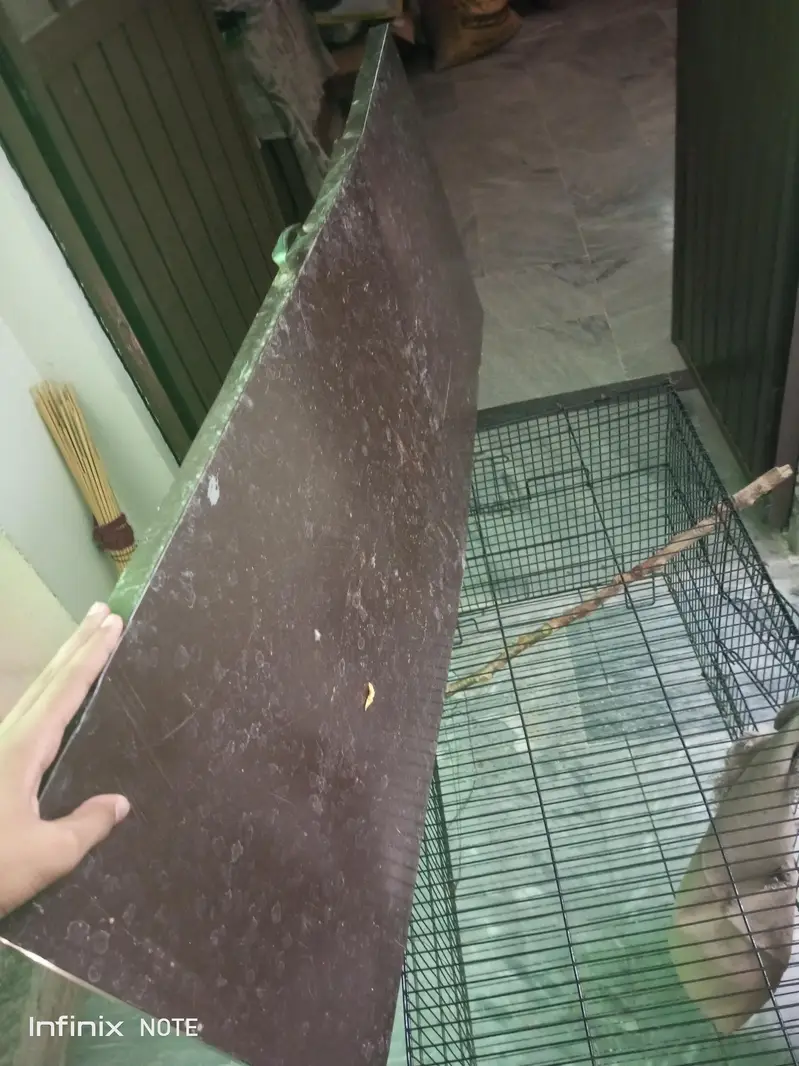Parrot cage — photo 5