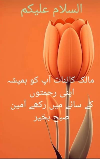 required female doctor (MO) for clinic .