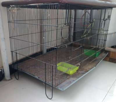 Parrot cage 