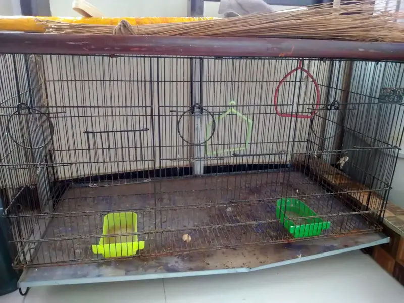 Parrot cage  — photo 2
