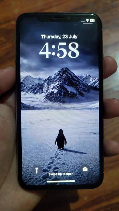 Apple iPhone X