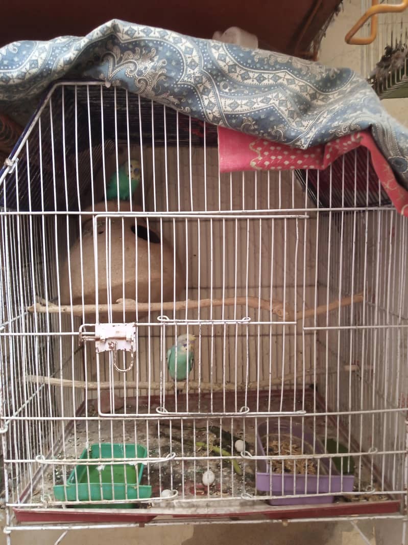 Breader pair with cage 1
