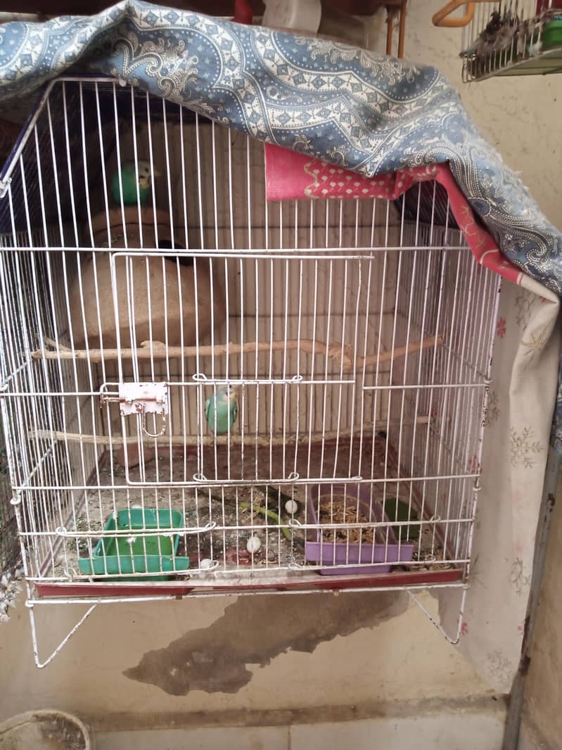 Breader pair with cage 5