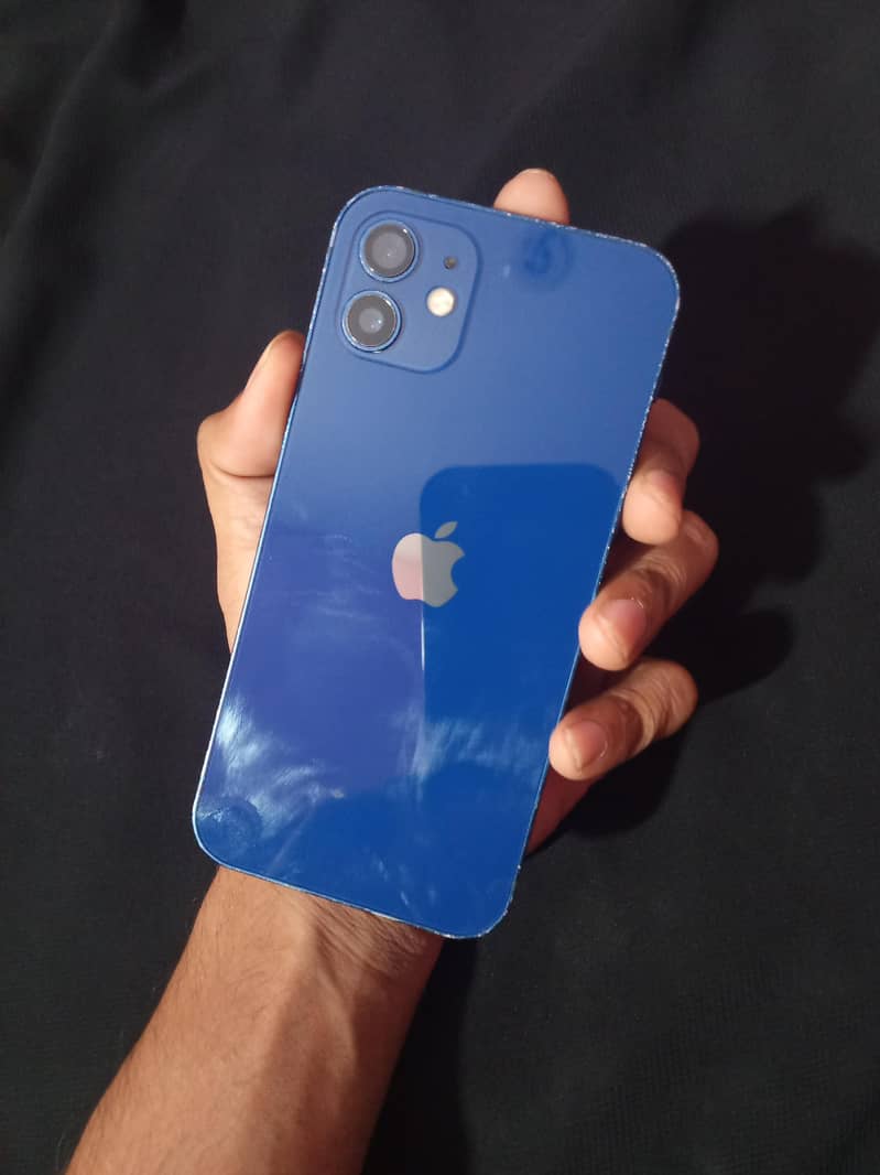 Apple iPhone 12 1