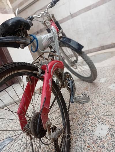 full size cycle for boys