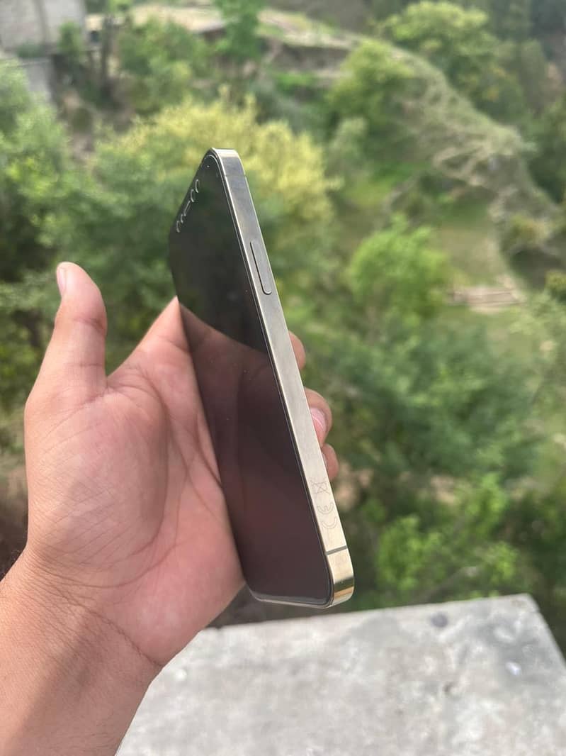 Iphone 12 pro 1