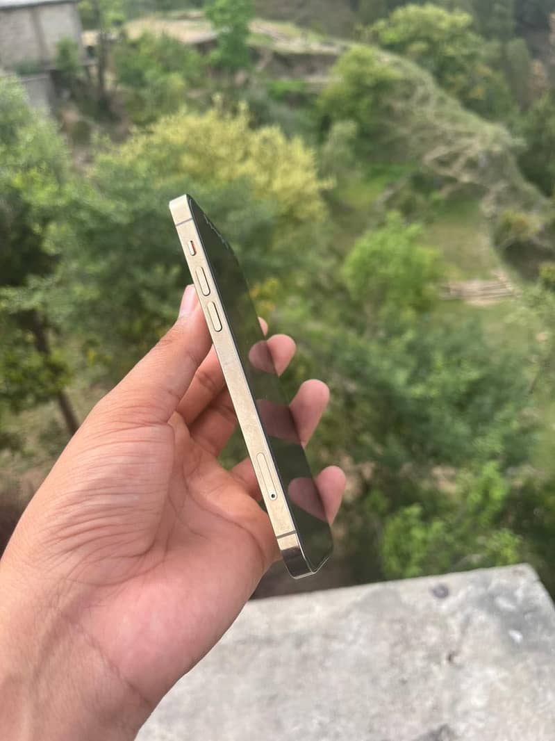 Iphone 12 pro 3